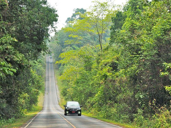 Khao Yai national park road