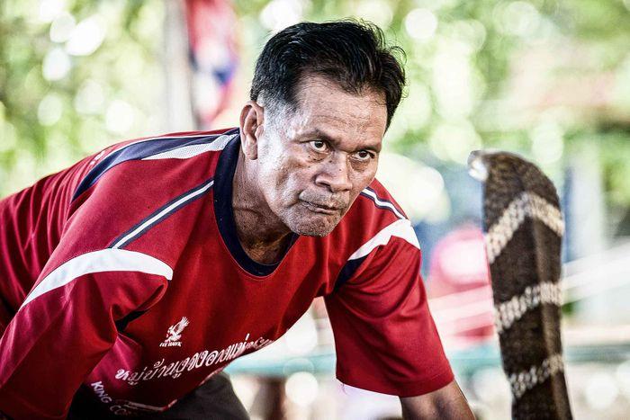 King Cobra Village Thailand