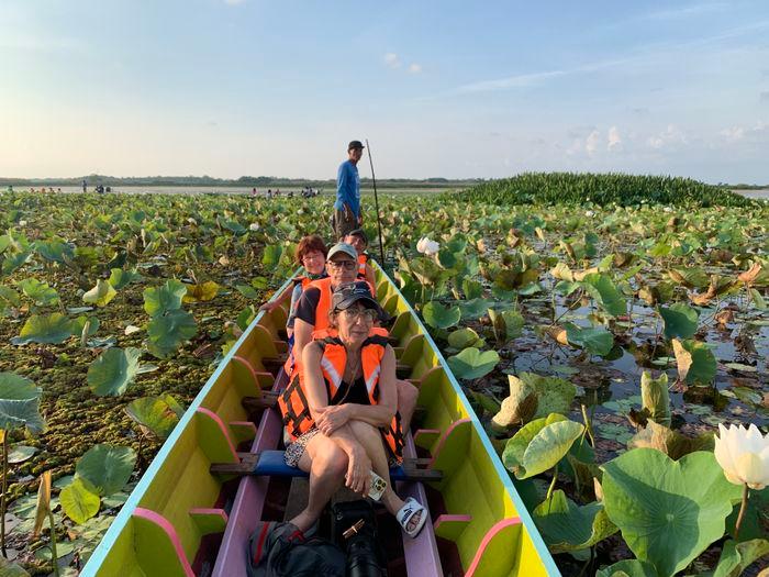 Lotus flowers in the fresh lake